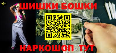 прущие грибы Кандалакша