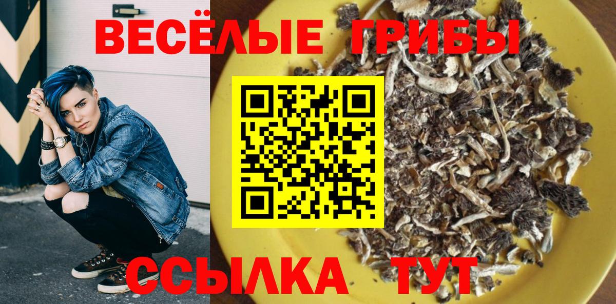 Жуковский  Галлюциногенные грибы MAGIC MUSHROOMS  Вход с VPN 