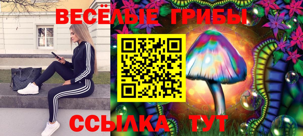 Псилоцибиновые грибы MAGIC MUSHROOMS Жуковский